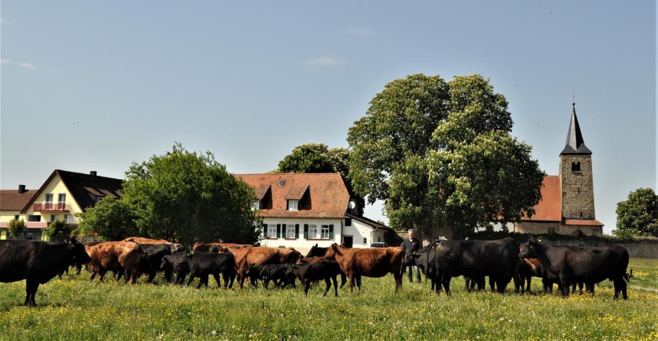 Schaefer'S Ferienhof Michaelsberg Gundelsheim  Экстерьер фото